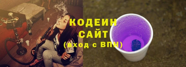 хмурый Михайловск