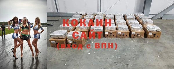 хмурый Михайловск