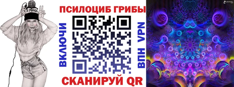 Псилоцибиновые грибы Cubensis  магазин  наркотиков  Юрюзань 